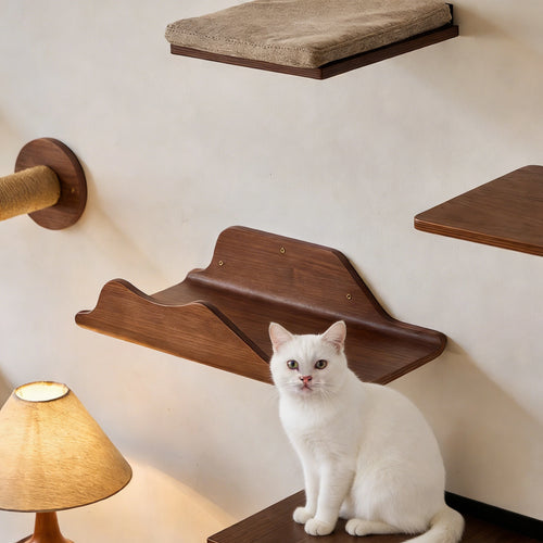 Zoiazoo All-Solid Wood Wall Cat Perch – Cloud Boat Style Wall-Mounted Cat Bed & Climbing Platform, Space-Saving Home Cat Steps