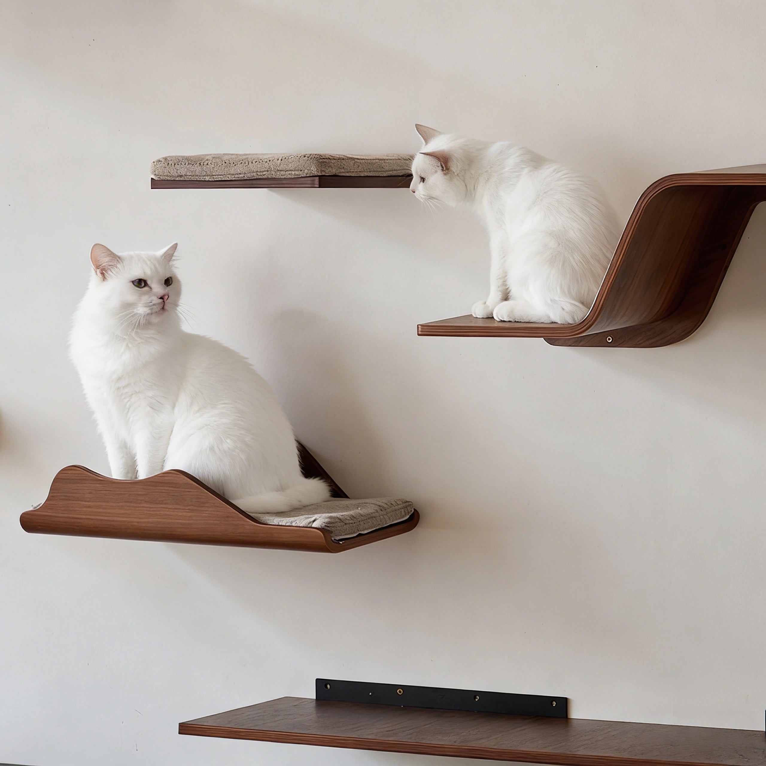 Zoiazoo All-Solid Wood Wall Cat Perch – Cloud Boat Style Wall-Mounted Cat Bed & Climbing Platform, Space-Saving Home Cat Steps