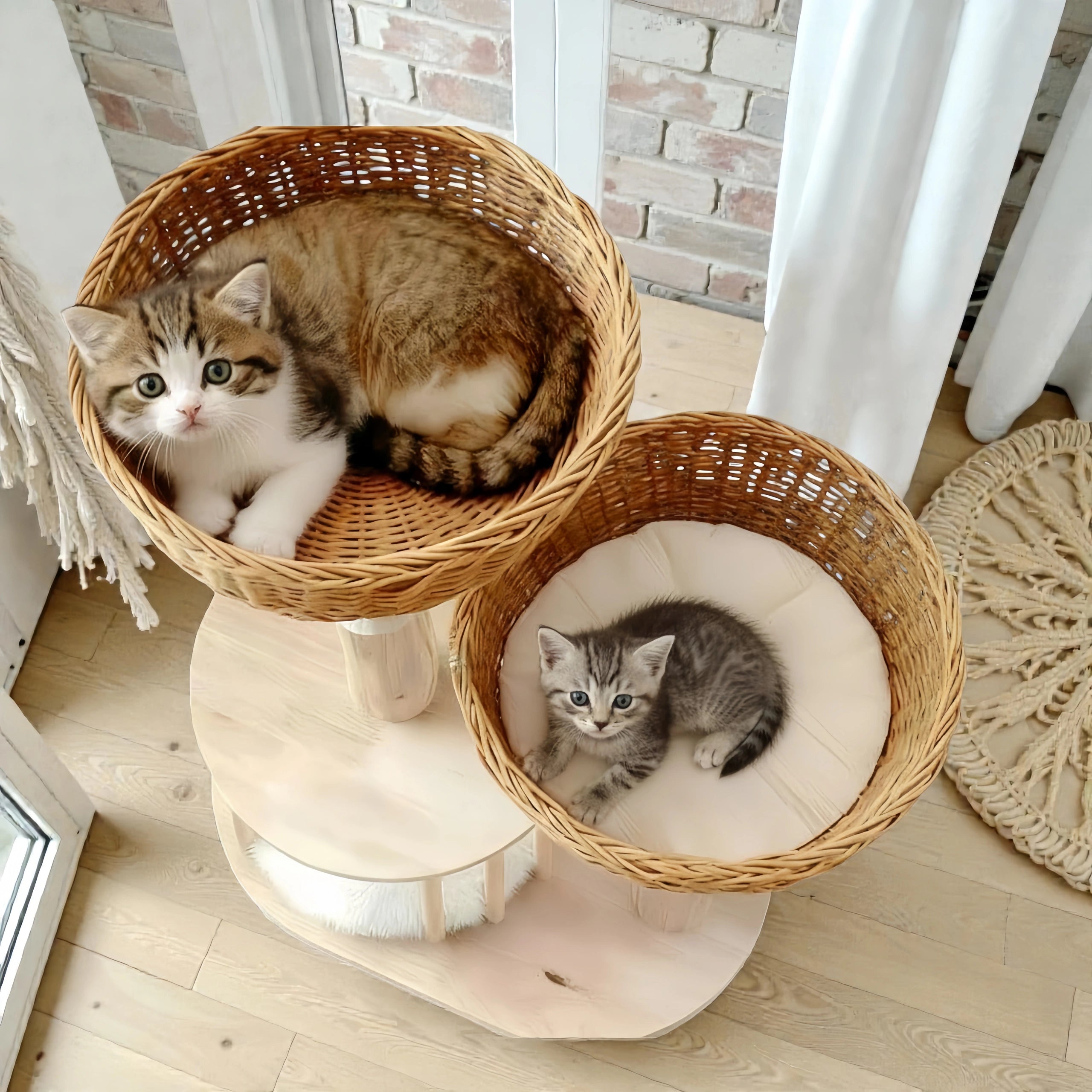 Zoiazoo Solid Wood Small Woven Cat Tree – Space-Saving Cat Tower with Integrated Cat Bed, Scratching Board & Trunk-Style Post