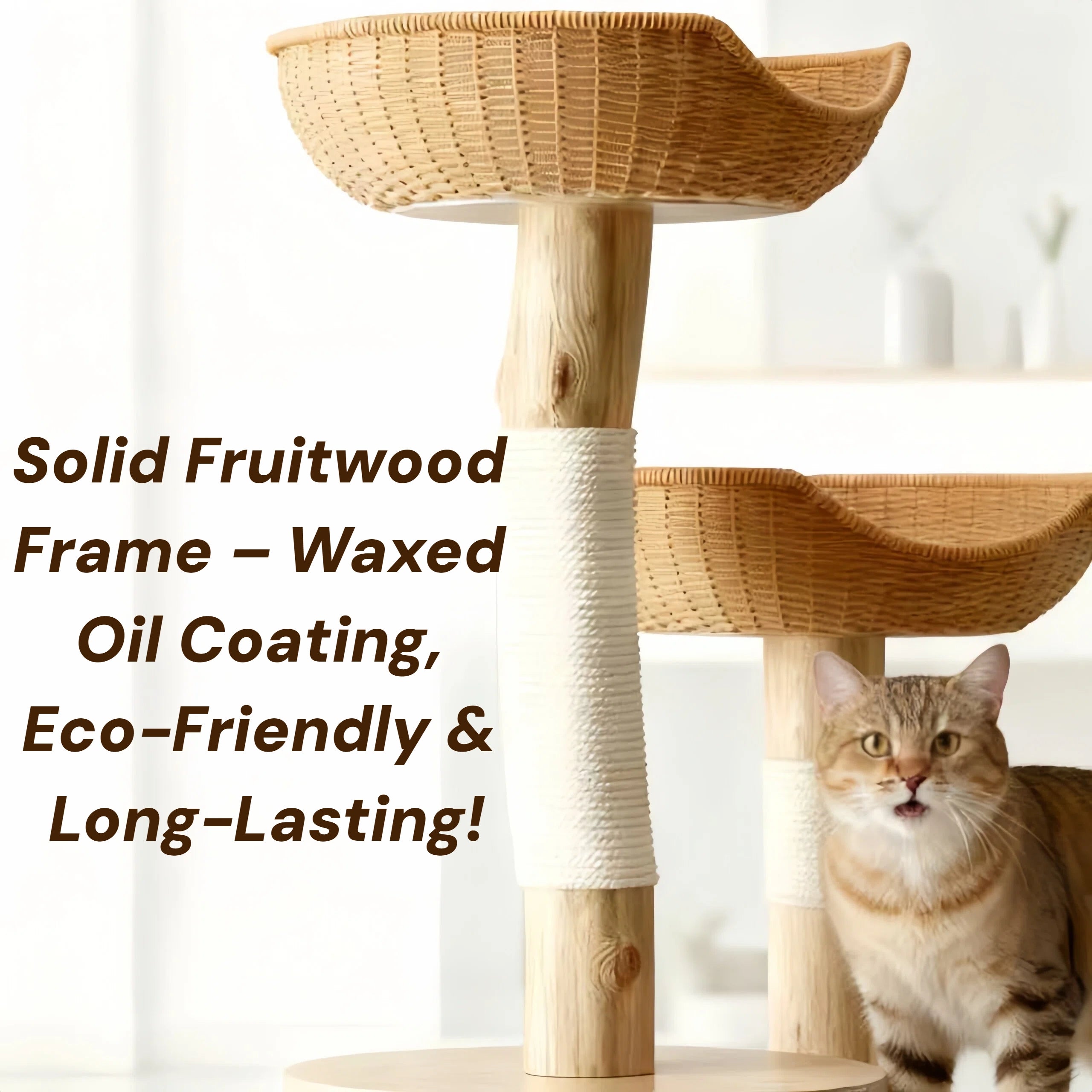 Zoiazoo Solid Wood Small Woven Cat Tree – Space-Saving Cat Tower with Integrated Cat Bed, Scratching Board & Trunk-Style Post