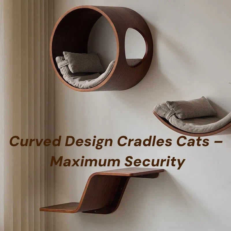 Zoiazoo Solid Wood Wall-Mounted Cat Pod – Sun-Style Round Cat Bed & Jumping Platform, All-Season Space-Saving Home Cat Perch