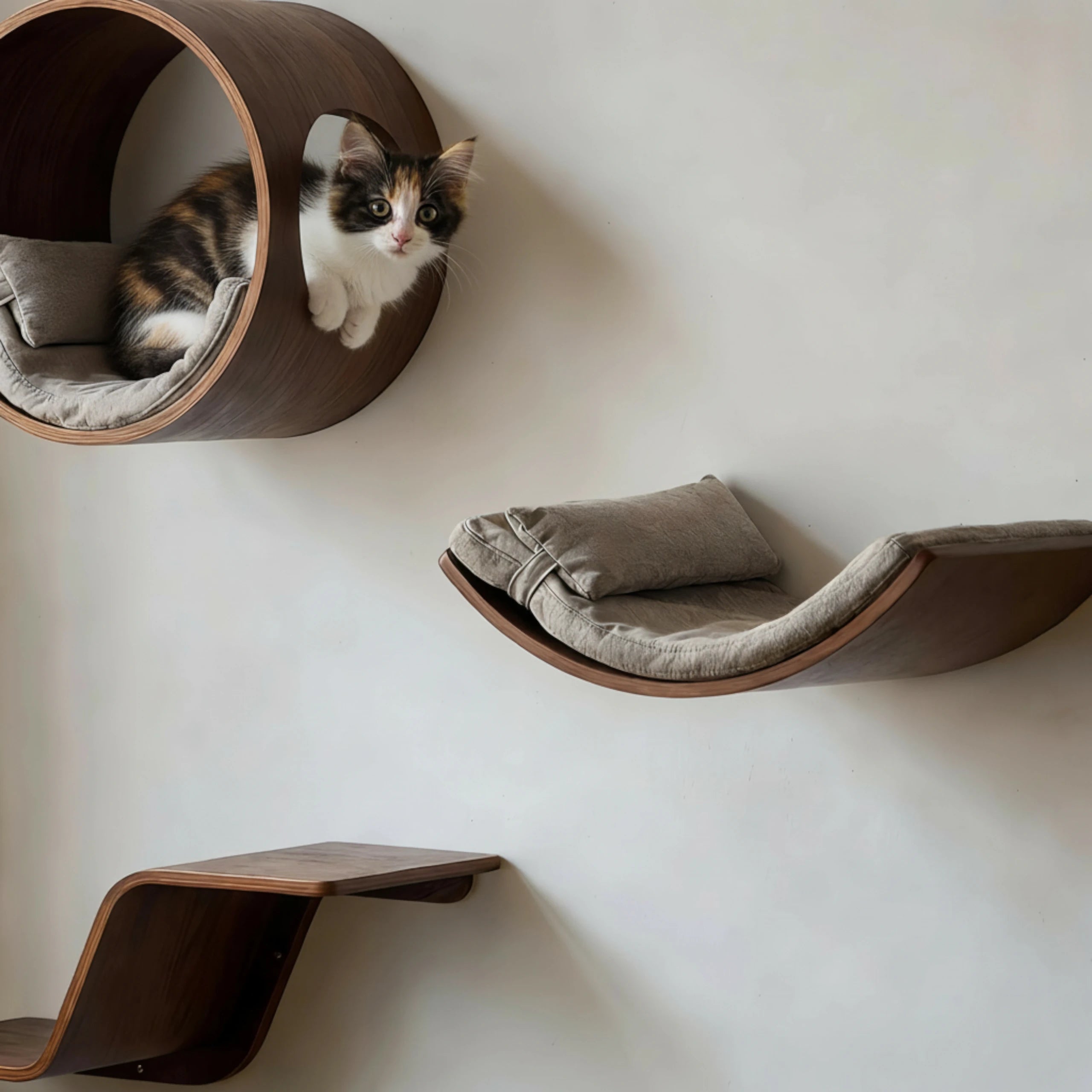 Zoiazoo Solid Wood Wall Cat Step – All-Season Wall-Mounted Cat Bed & Jump Platform, Space-Saving Home Climbing Shelf