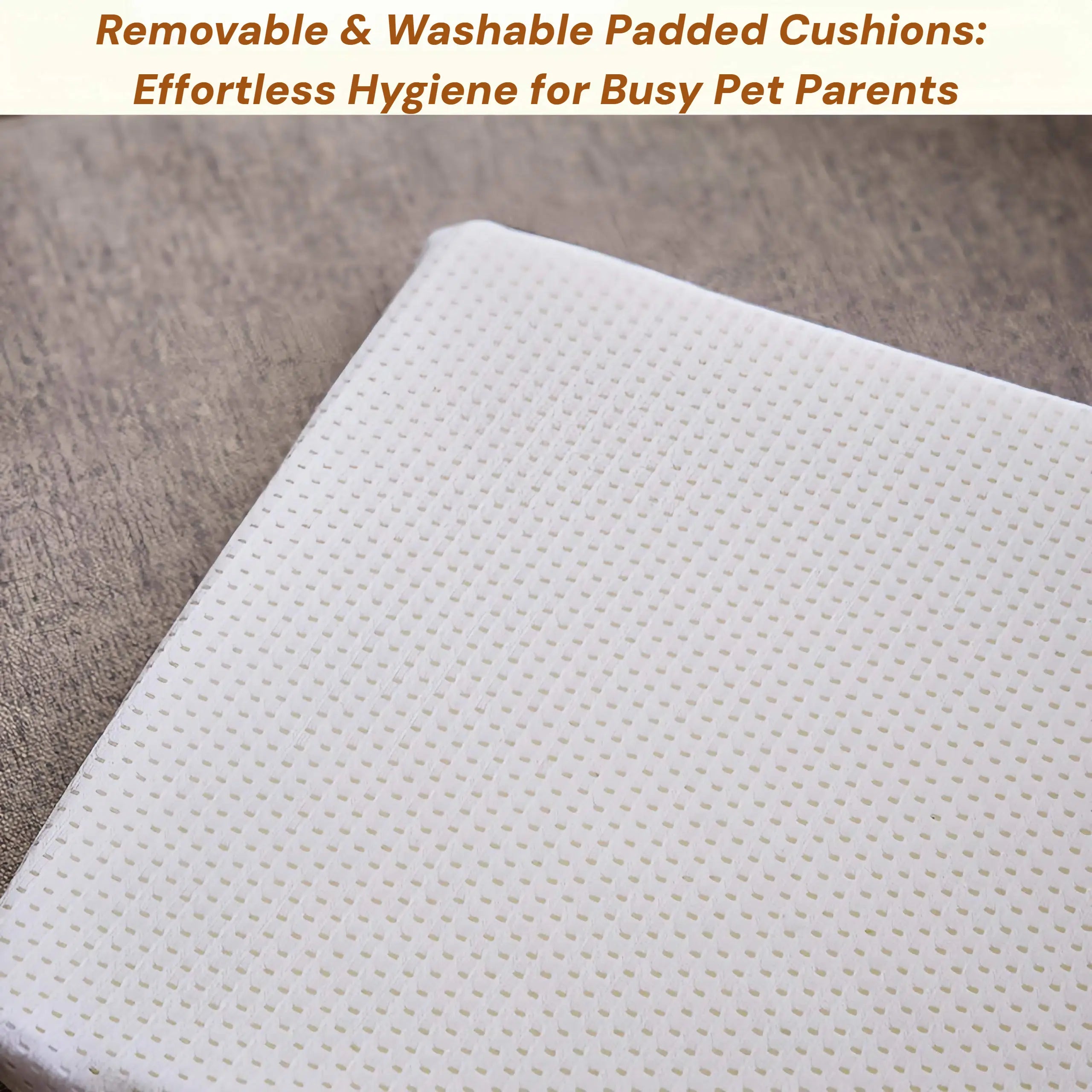 Zoiazoo Wall-Mounted Solid Wood Cat Wall System – Space-Saving Home Cat Climber with Moon Bed, Sun Pod, Steps, Slide, Ladder, Scratching Post & Cat Run