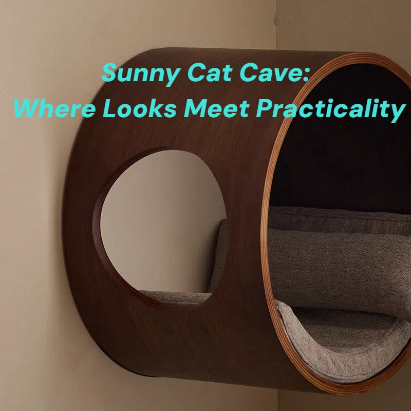 Zoiazoo Solid Wood Wall-Mounted Cat Pod – Sun-Style Round Cat Bed & Jumping Platform, All-Season Space-Saving Home Cat Perch