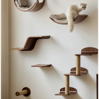 Zoiazoo Wall-Mounted Solid Wood Cat Wall System – Space-Saving Home Cat Climber with Moon Bed, Sun Pod, Steps, Slide, Ladder, Scratching Post & Cat Run