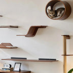 Zoiazoo Wall-Mounted Solid Wood Cat Wall System – Space-Saving Home Cat Climber with Moon Bed, Sun Pod, Steps, Slide, Ladder, Scratching Post & Cat Run