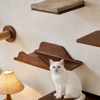 Zoiazoo Wall-Mounted Solid Wood Cat Wall System – Space-Saving Home Cat Climber with Moon Bed, Sun Pod, Steps, Slide, Ladder, Scratching Post & Cat Run